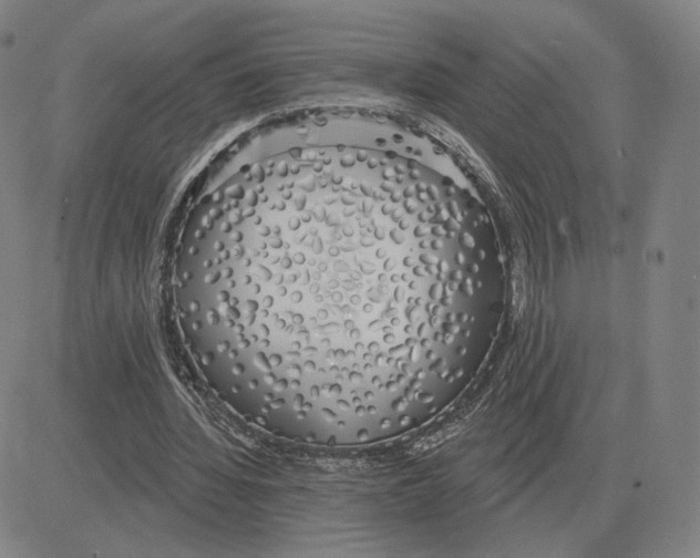 X0000080130436200701051423