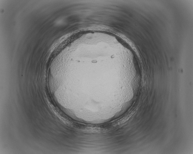 X0000080130437200701051423