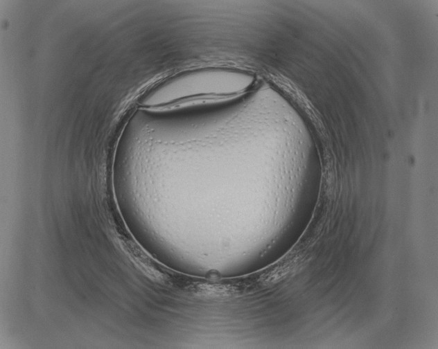X0000080130442200701051423