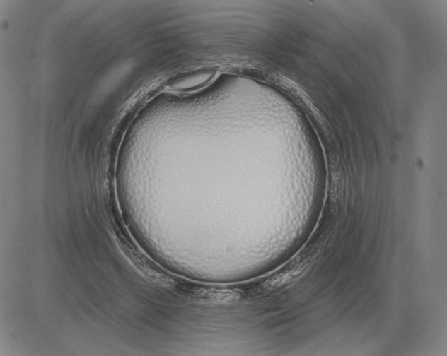 X0000080130443200701051423
