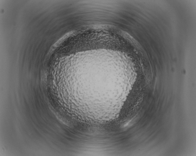 X0000080130444200701051423