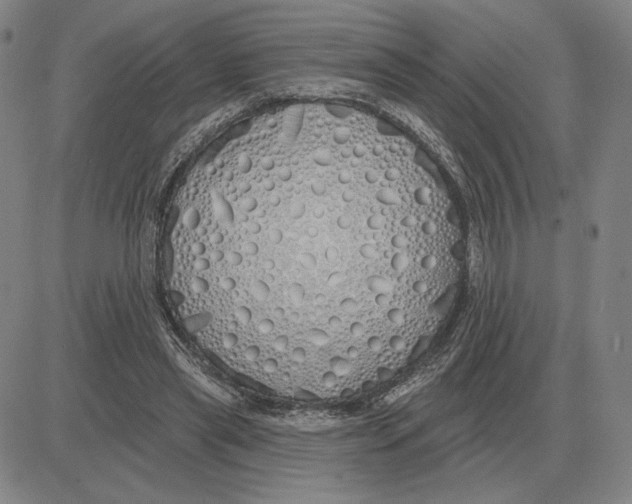 X0000080130445200701051423