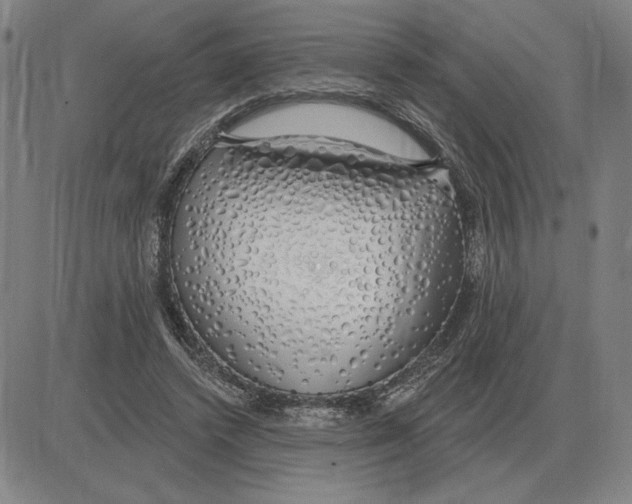 X0000080130448200701051423