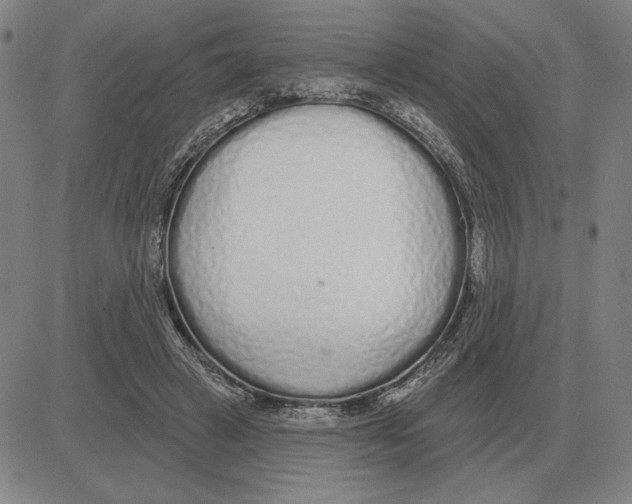 X0000080130449200701051423