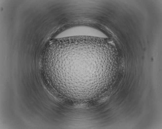 X0000080130452200701051423