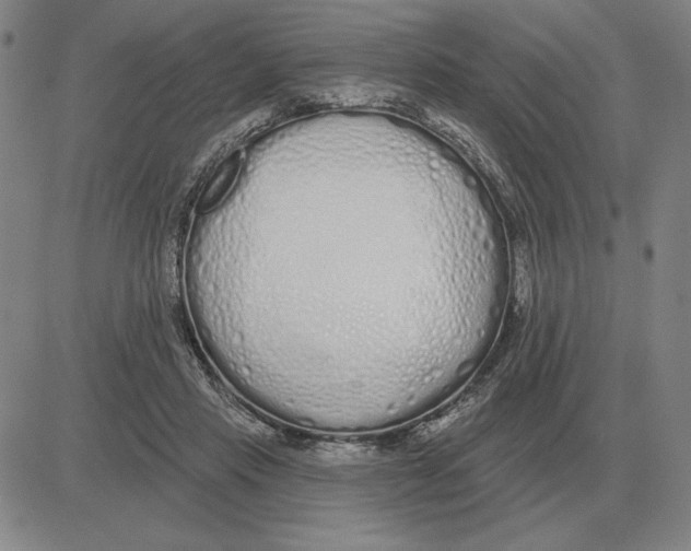 X0000080130453200701051423