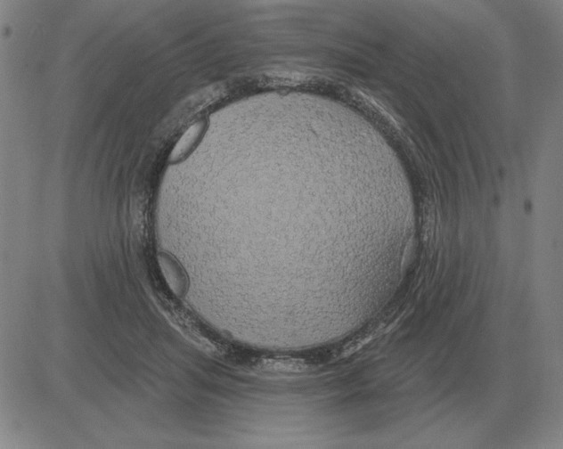 X0000080130455200701051423