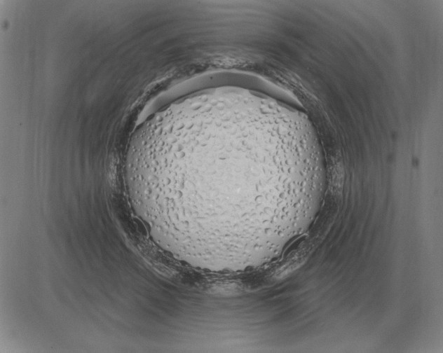 X0000080130456200701051423