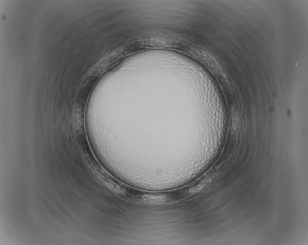 X0000080130457200701051423