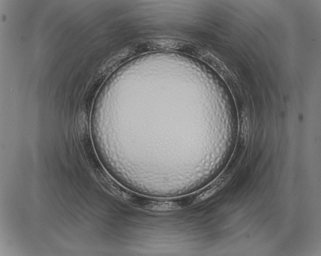 X0000080130459200701051423