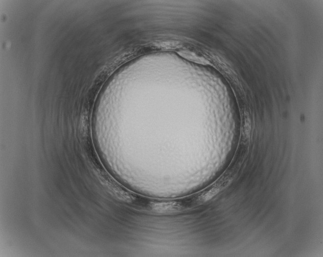 X0000080130461200701051423