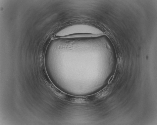 X0000080130462200701051423