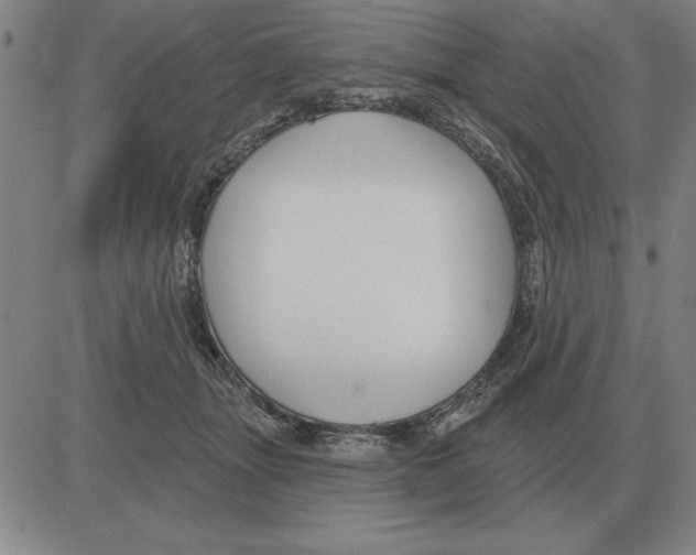 X0000080130463200701051423