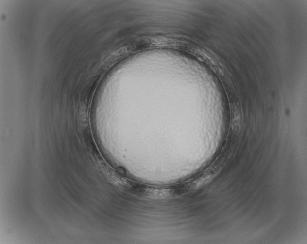 X0000080130469200701051424