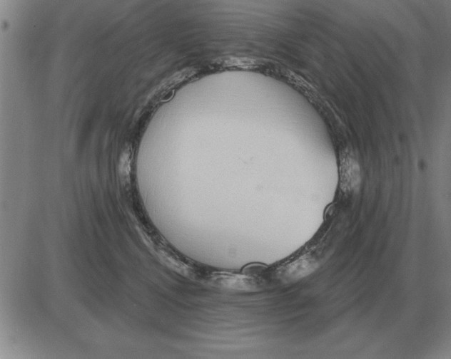 X0000080130472200701051424