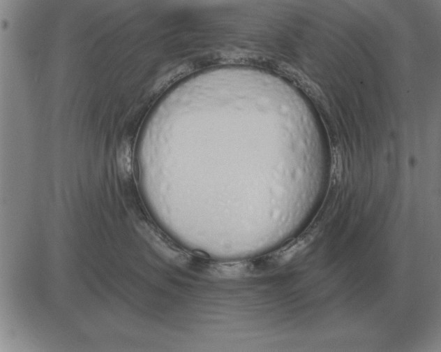 X0000080130479200701051424
