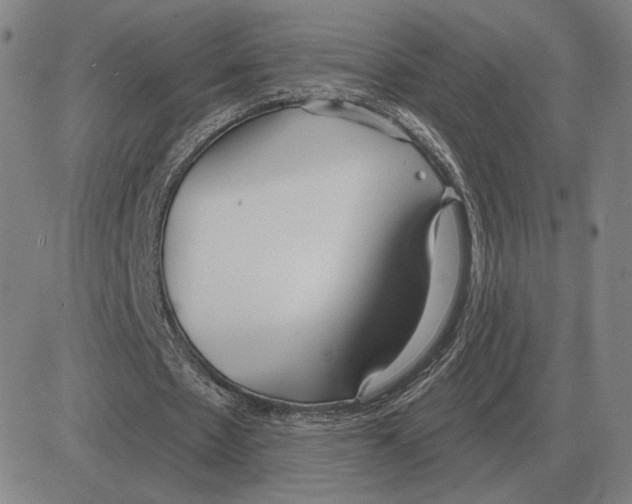 X0000080130481200701051423