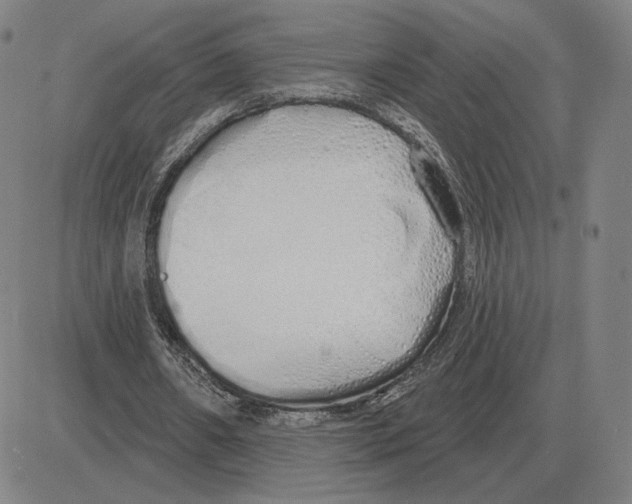 X0000080130482200701051423