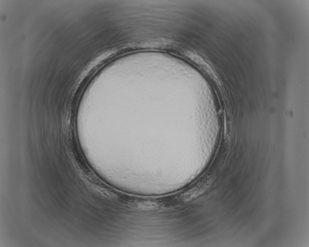 X0000080130483200701051423
