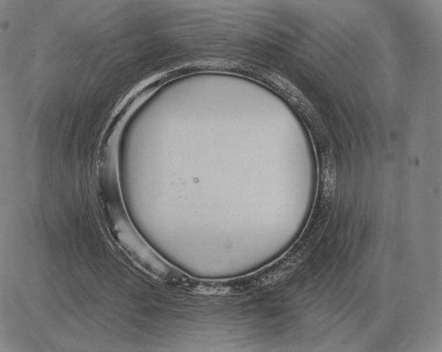 X0000080130484200701051423