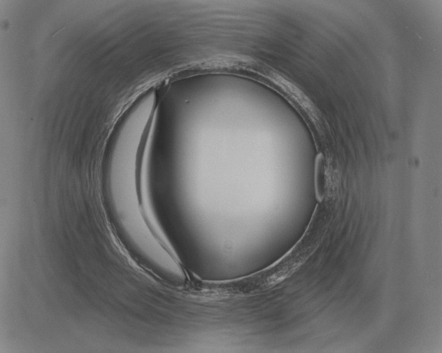 X0000080130485200701051423