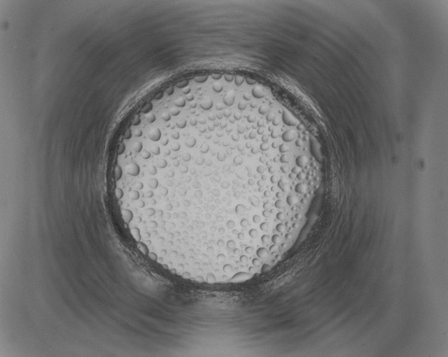 X0000080130486200701051423