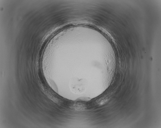 X0000080130487200701051423