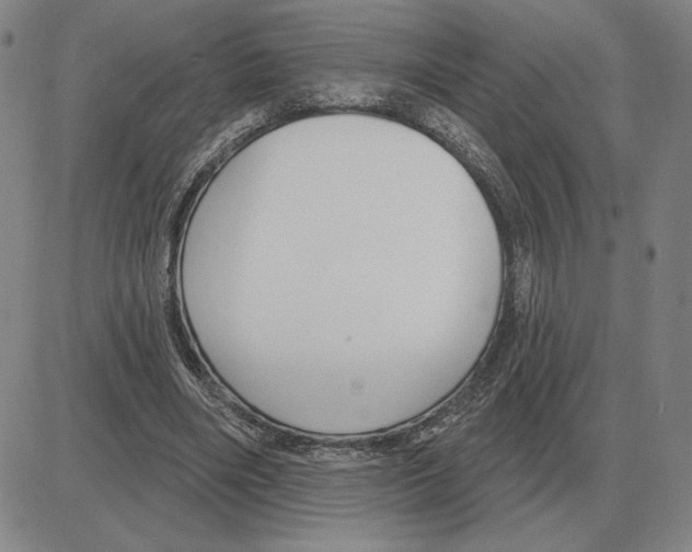 X0000080130490200701051423