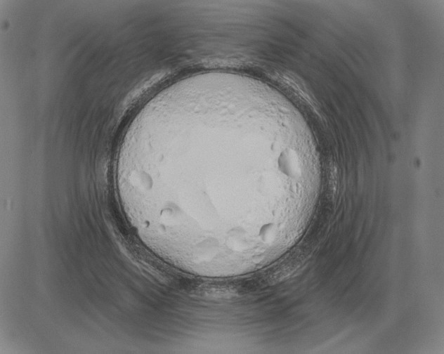 X0000080130491200701051423