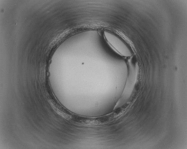 X0000080130493200701051423