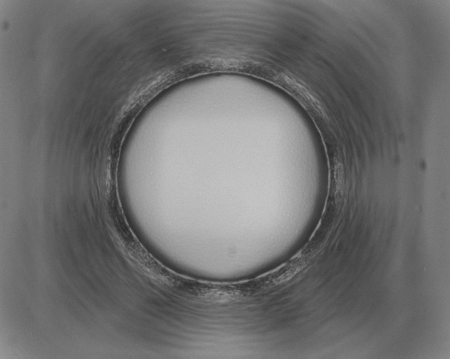 X0000080130494200701051423