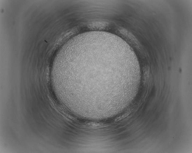 X0000080130498200701051423