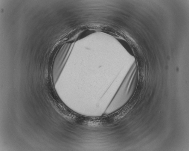 X0000080130500200701051423