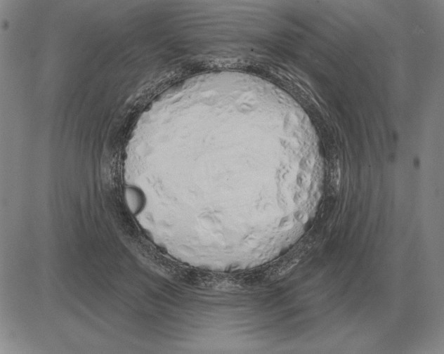 X0000080130503200701051423