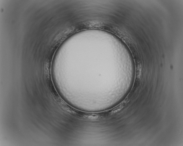 X0000080130506200701051423