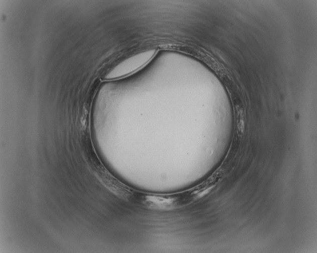 X0000080130507200701051423