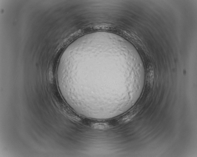 X0000080130508200701051423