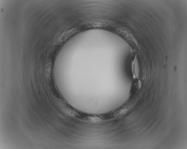 X0000080130509200701051423