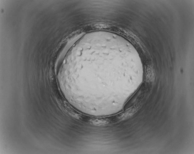 X0000080130512200701051422