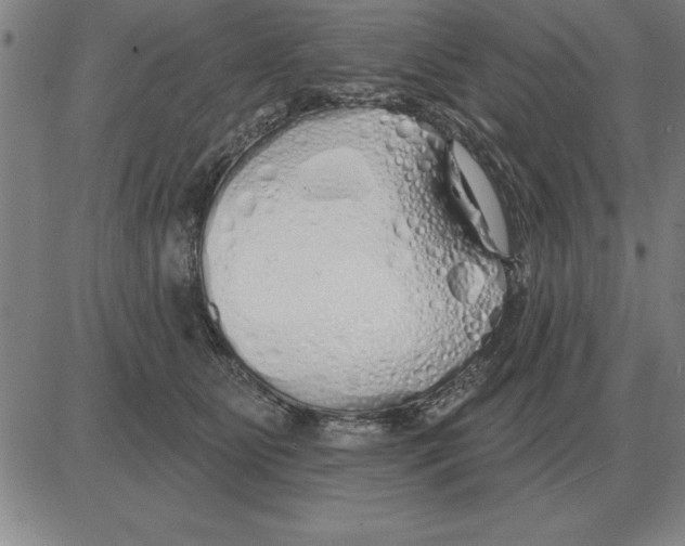 X0000080130515200701051422