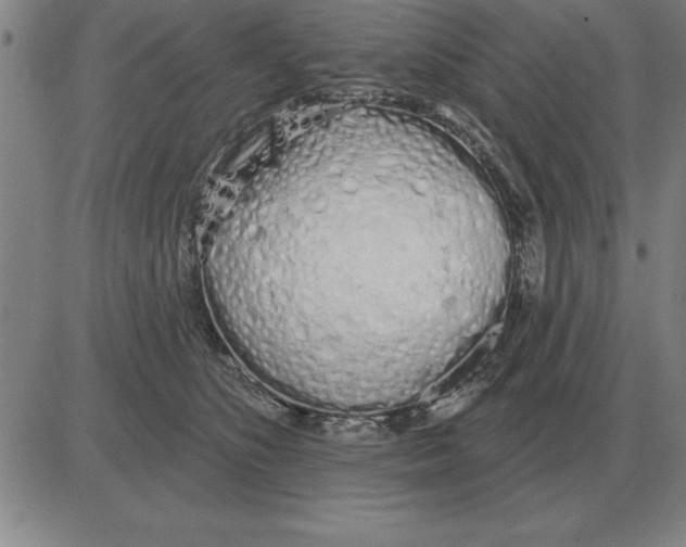 X0000080130516200701051422