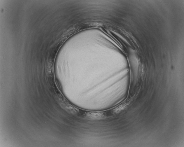 X0000080130517200701051422