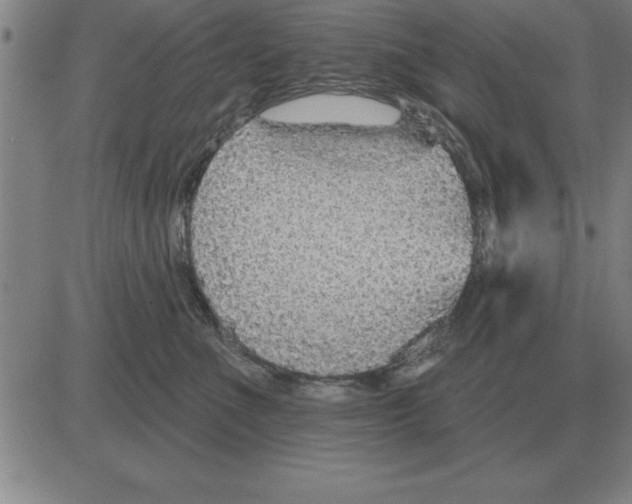 X0000080130523200701051422