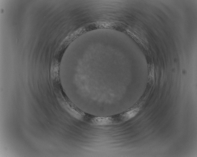 X0000080130526200701051422