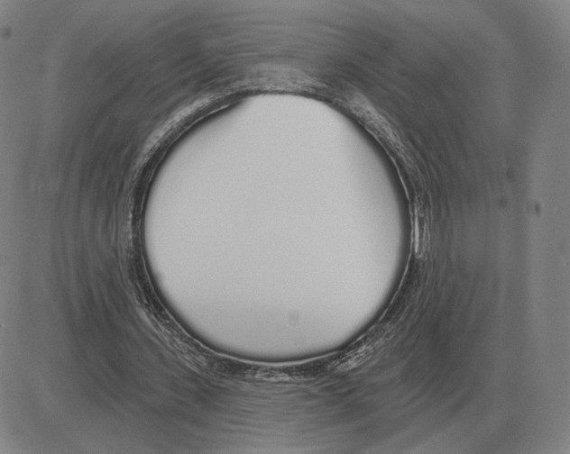 X0000080130531200701051421