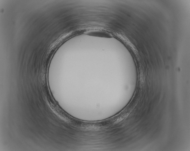 X0000080130533200701051421