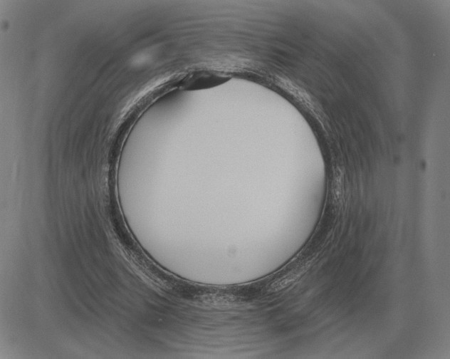 X0000080130535200701051422