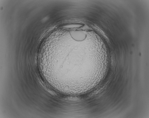 X0000080130537200701051422