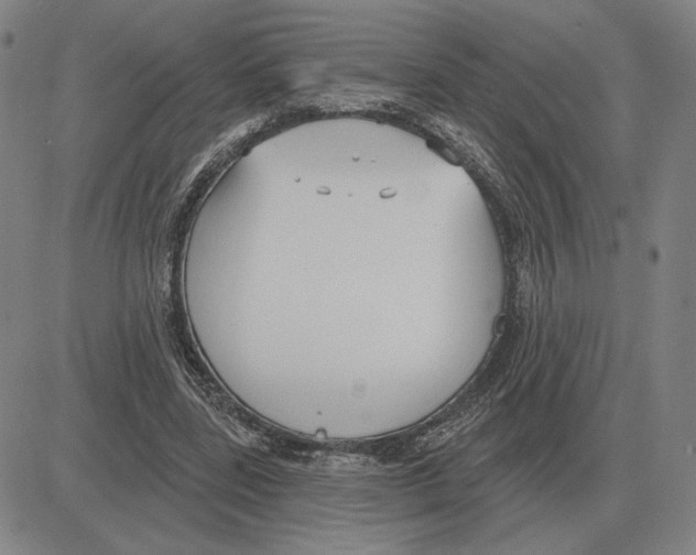 X0000080130539200701051422