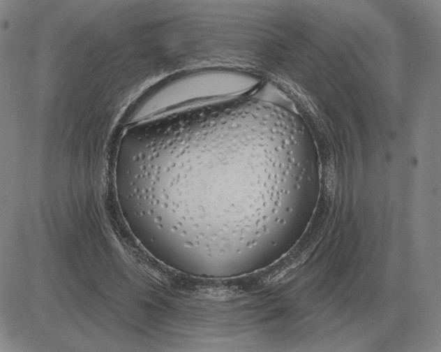 X0000080130540200701051422